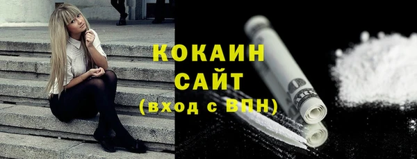 дмт Нея