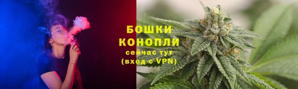 дмт Нея