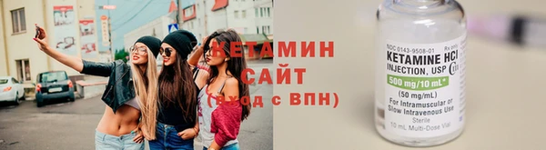 сатива Новозыбков