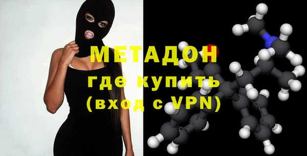 сатива Новозыбков