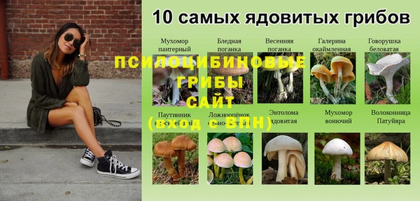 ПСИЛОЦИБИНОВЫЕ ГРИБЫ Нефтегорск
