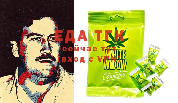 сатива Новозыбков