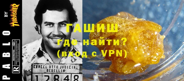 сатива Новозыбков