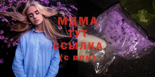 сатива Новозыбков