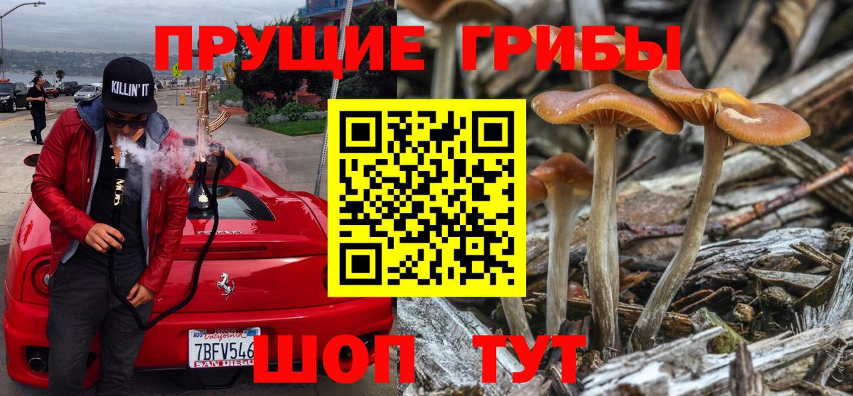 Галлюциногенные грибы мухоморы  Вход с VPN  Галлюциногенные грибы мухоморы  Чистополь 