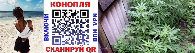 Бошки марихуана SATIVA & INDICA  купить наркоту  Чистополь 